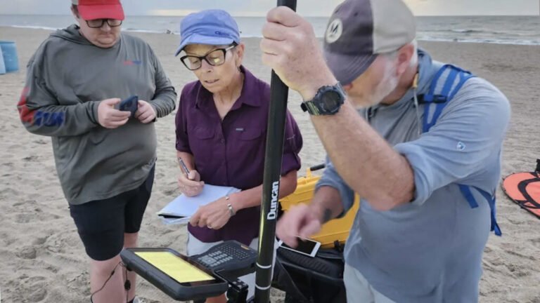 Inside a Georgia Beach’s High-Tech Fight Against Erosion