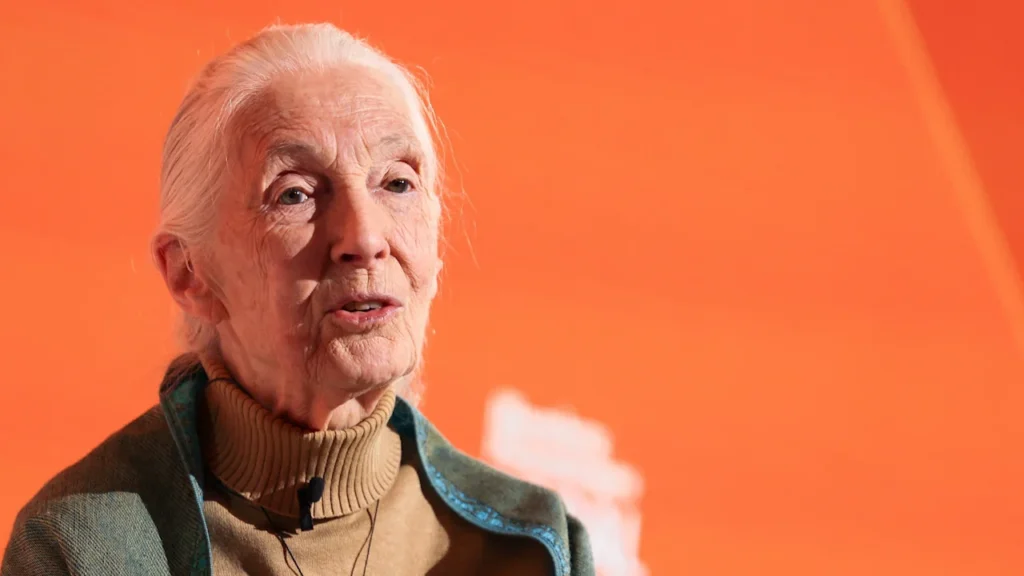 Jane Goodall, wildlife advocate and primate expert, dies at 91