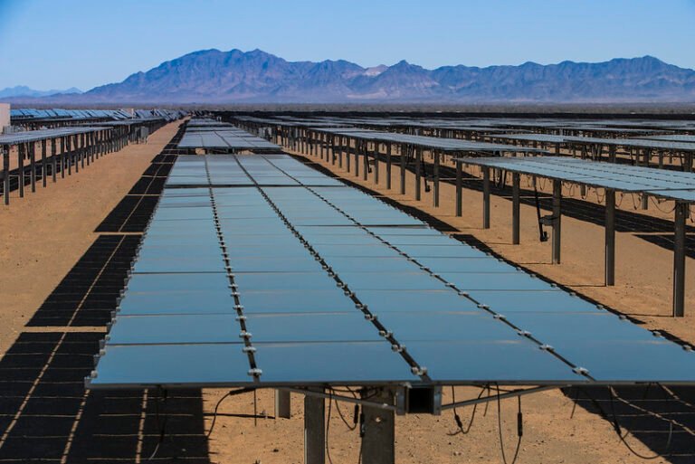 Interior cancels largest solar project in North America
