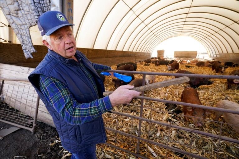Farmers are defending the law big pork wants to destroy
