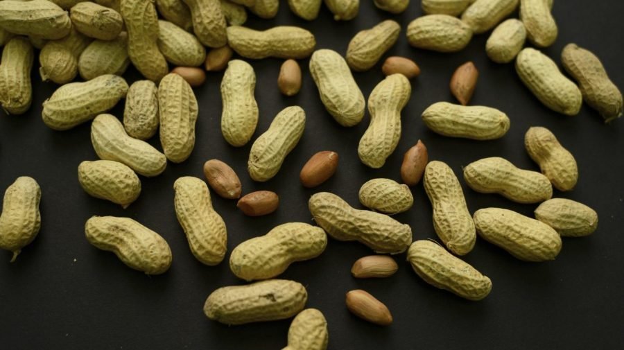 Peanut allergies may be prevented, new research finds