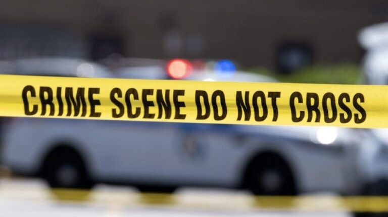 LA police accuse 'Playboy,' 'Penthouse' model of string of high-end luxury burglaries