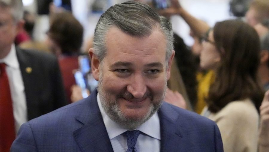 Cruz posts video of Democrats wearing sombreros, cartoon mustaches