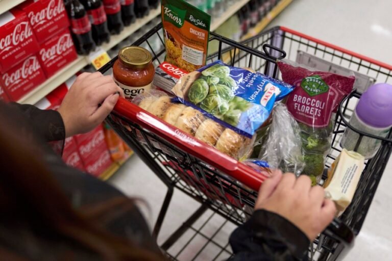 SNAP benefits will soon be tied to error rates. These states are in the biggest trouble