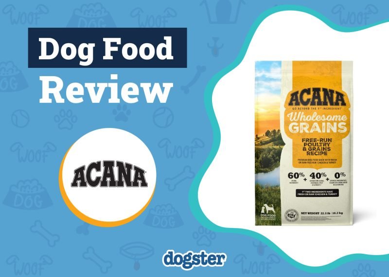 Acana Dog Food Review 2025: Pros, Cons, Recalls & FAQ