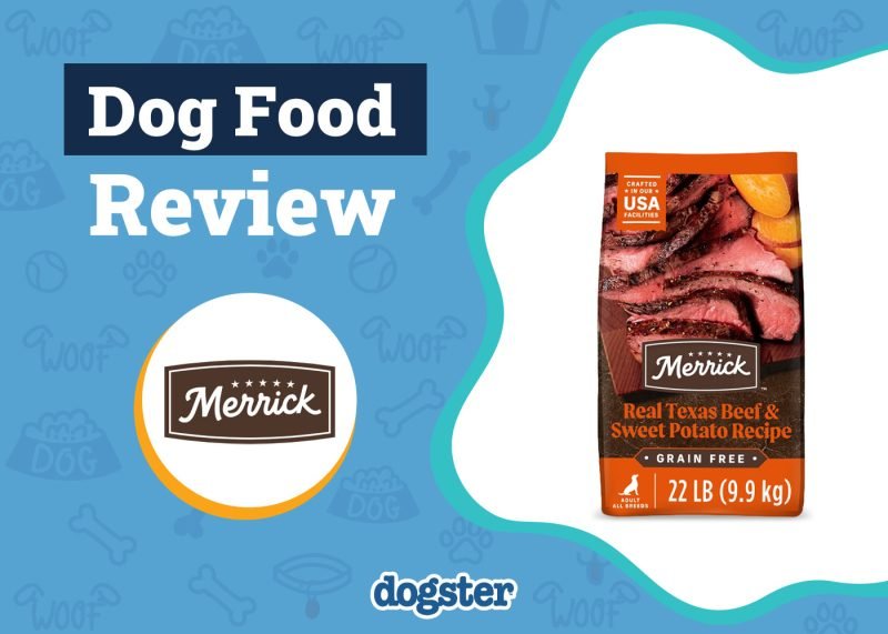Merrick Dog Food Review 2025: Recalls, Pros & Cons
