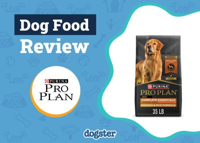 Purina Pro Plan Dog Food Review 2025: Pros & Cons and Recalls