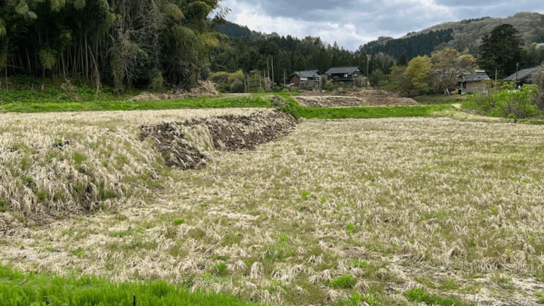 When the Earth Moves: 25 Years of Probabilistic Fault Displacement Hazards