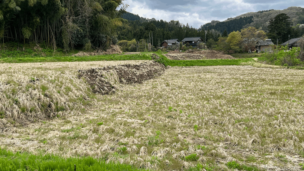 When the Earth Moves: 25 Years of Probabilistic Fault Displacement Hazards