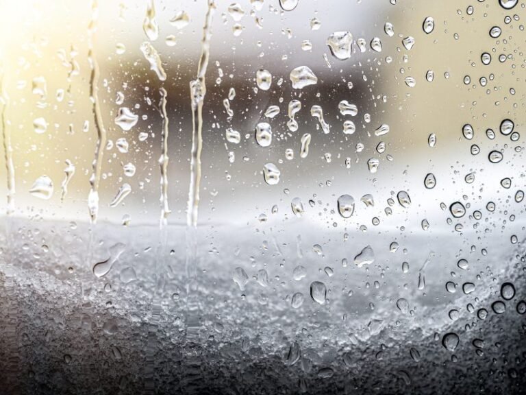 Rain, snow or sun? NOAA releases weather predictions for holidays, start of winter