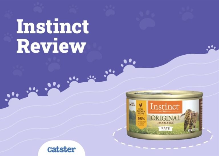 Nature’s Variety Instinct Cat Food Review of 2025: Recalls, Pros & Cons