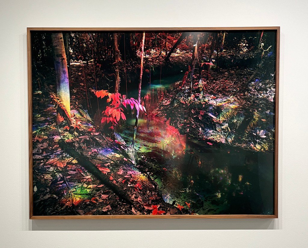 Exploring New Paths in Landscape-Based Art 