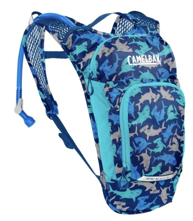 *HOT* CamelBak Mini M.U.L.E. 50 oz Hydration Pack only $12.34 (Reg. $25!)