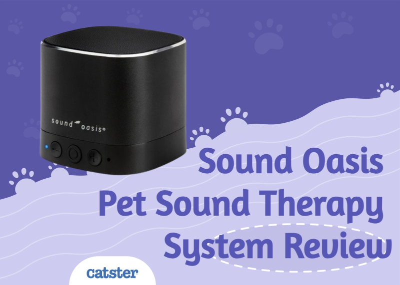 Sound Oasis Pet Sound Therapy System Review 2025: Effective Pet Calming Solution