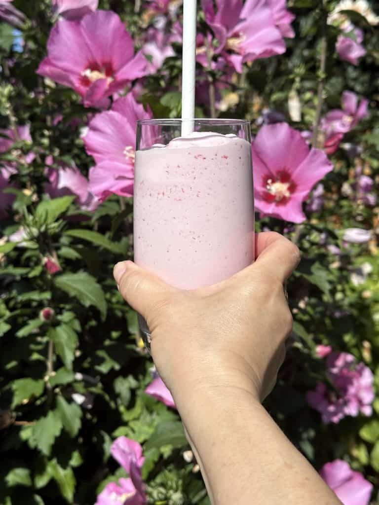 Ninja Creami Fresh Strawberry Milkshake
