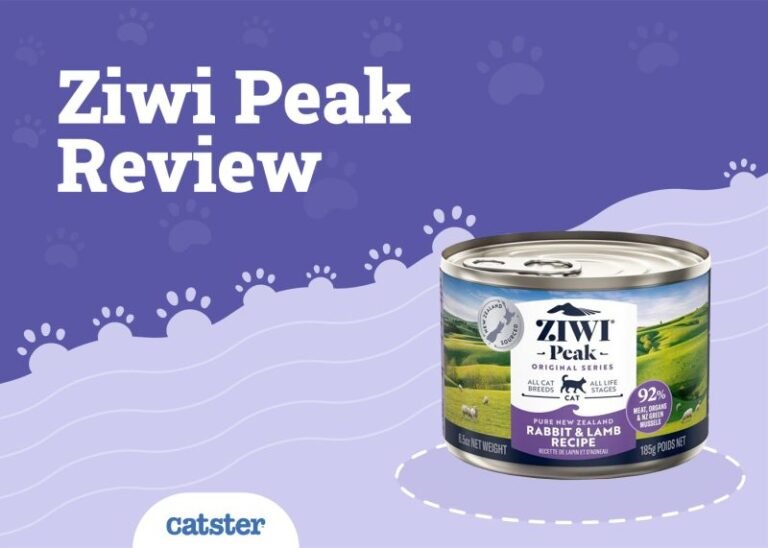 Ziwi Peak Cat Food Review of 2025: Recalls, Pros & Cons