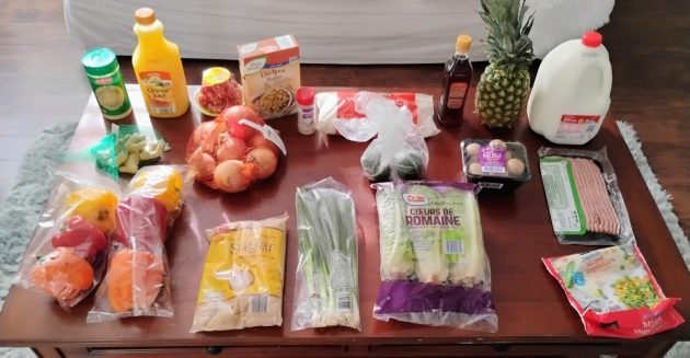 Brigette’s $111 Grocery Shopping Trip and Weekly Menu plan for 4!