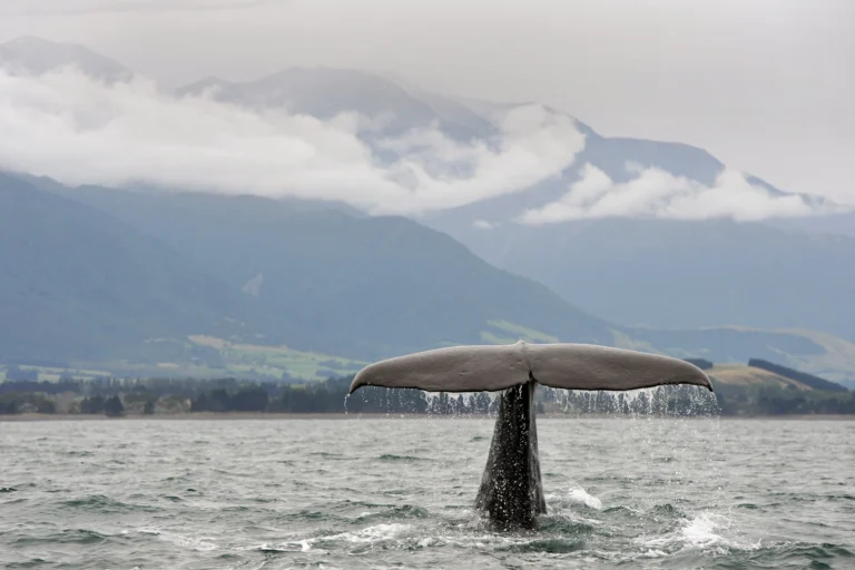 Must-sees in Middle Earth: top things to do in New Zealand