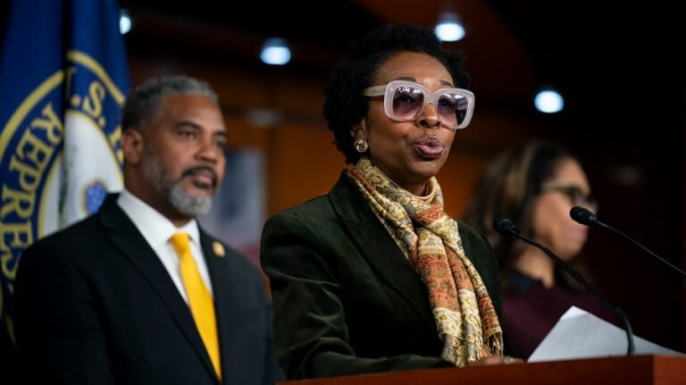 Watch live: Congressional Black Caucus responds to Supreme Court arguments on voting rights case