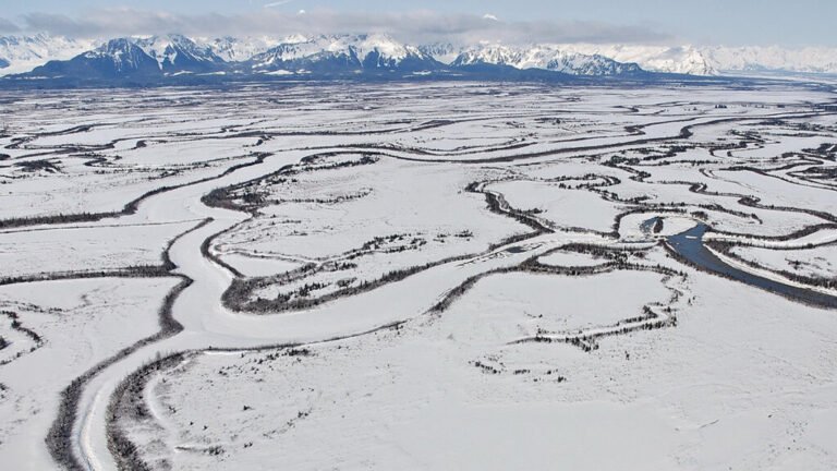 Tectonics and Climate Are Shaping an Alaskan Ecosystem