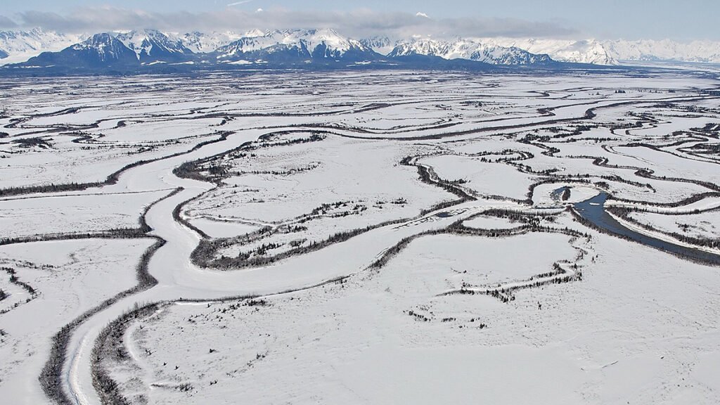 Tectonics and Climate Are Shaping an Alaskan Ecosystem