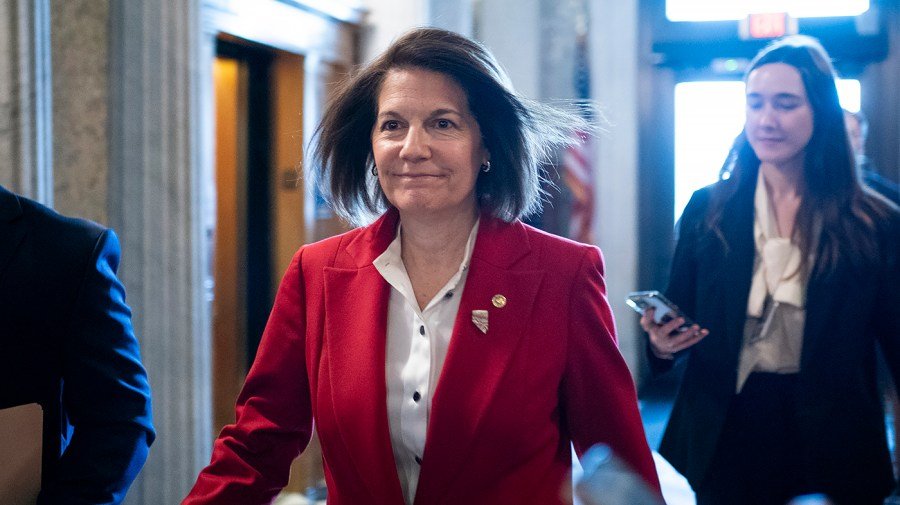 Three members of Democratic caucus buck Schumer on government funding vote