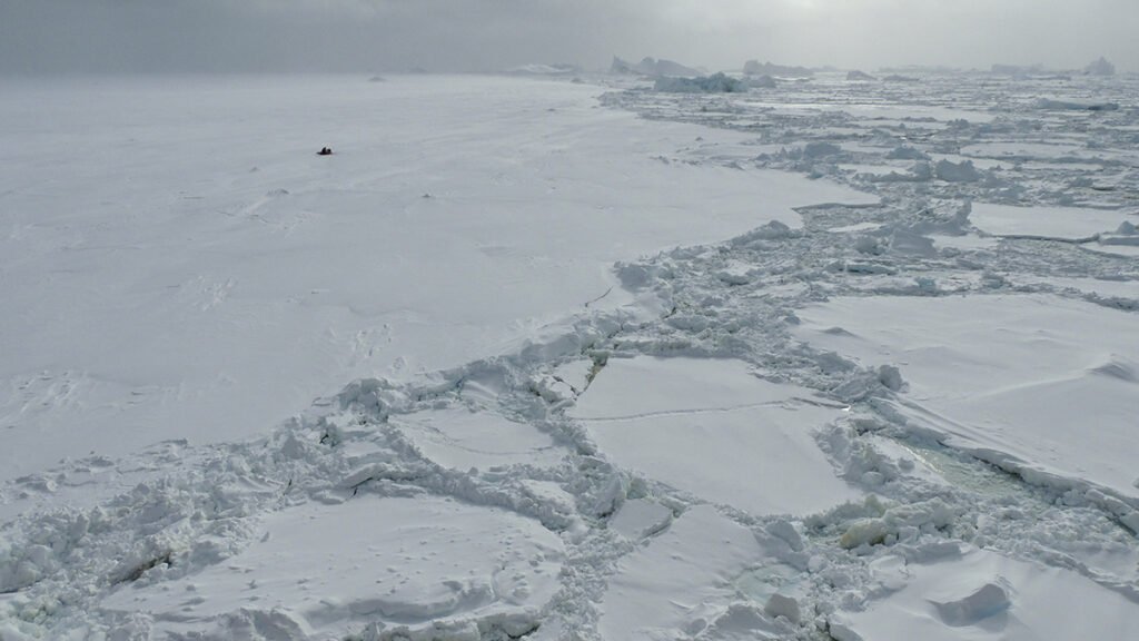 La salinidad del Océano Austral podría estar desencadenando la pérdida de hielo marino