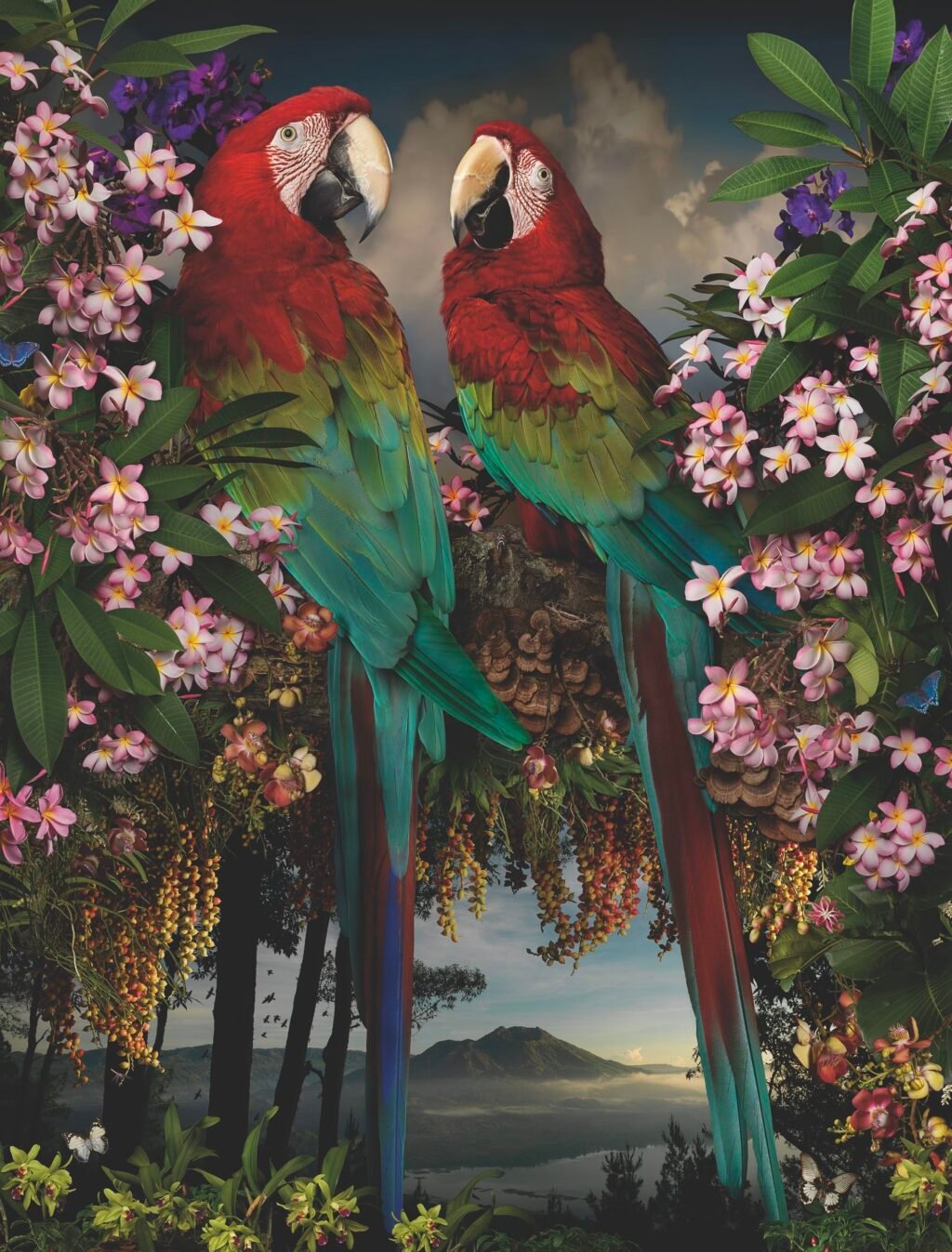 Contemporary Photographers in Australia and New Zealand Define ‘Exposure’