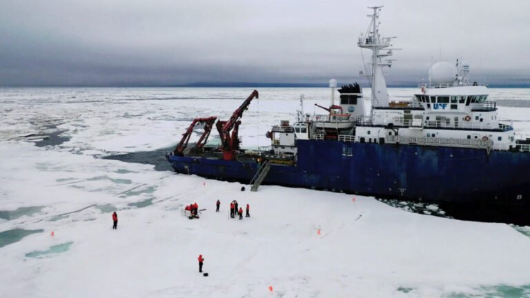 Ice Diatoms Glide at Record-Low Temperatures