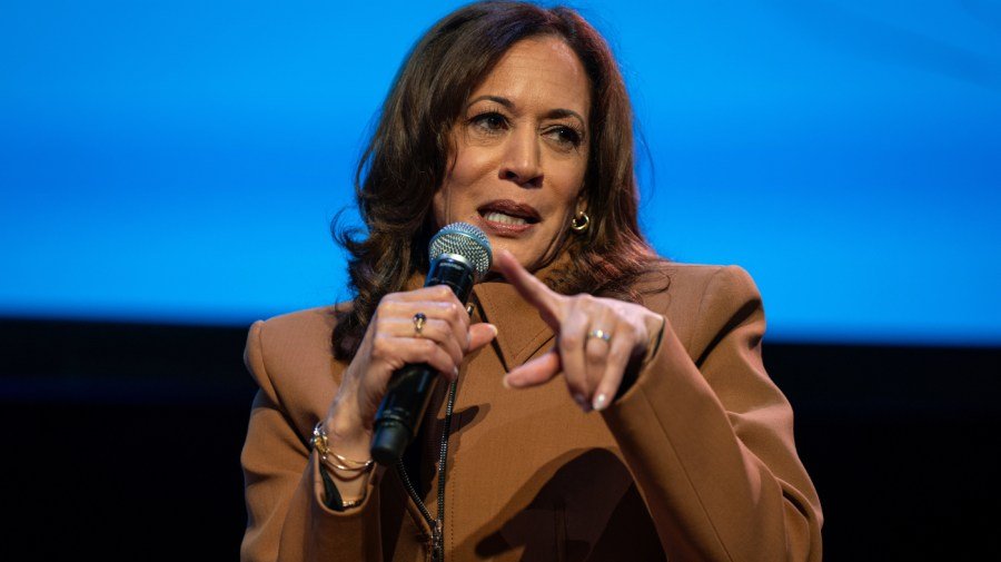 'World-class pivot': Reporter presses Harris on Biden health ahead of election