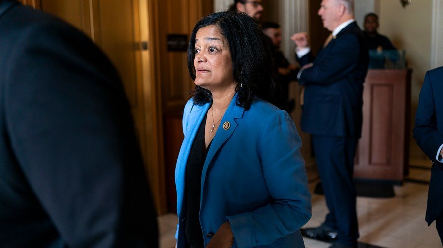 Jayapal: Report on US citizens in ICE custody ‘absolutely shocking’