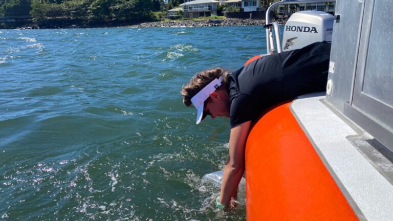 Pinpointing Sewage Seeps in Hawaii
