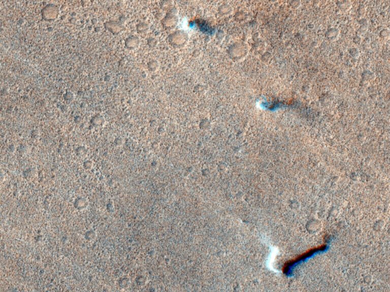 Martian Dust Devils Reveal Dynamic Surface Winds