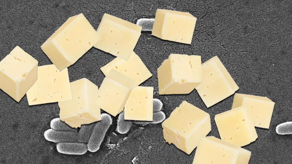 Raw milk cheese recalled after outbreak of E. coli infections in 2 states: Full list of products to avoid