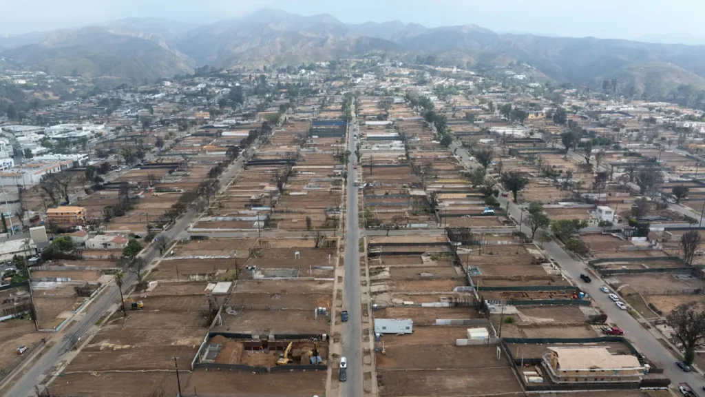 As Los Angeles rebuilds, a fight is brewing over landscaping rules designed to prevent future fires