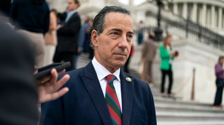 Raskin needles Trump over US flag with swastika in GOP congressional office