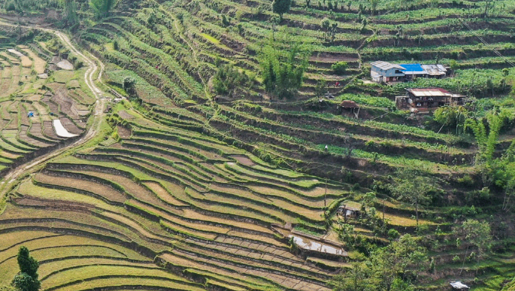 Developing Nations Need 12 Times More Financing to Meet Climate Adaptation Needs