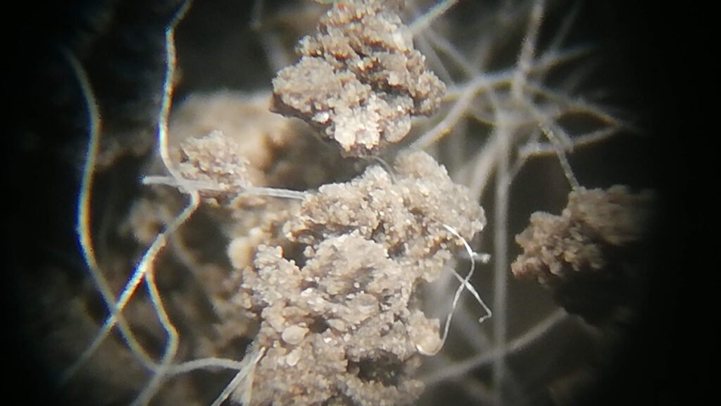 Microplastics Have Widely Varying Effects on Soil