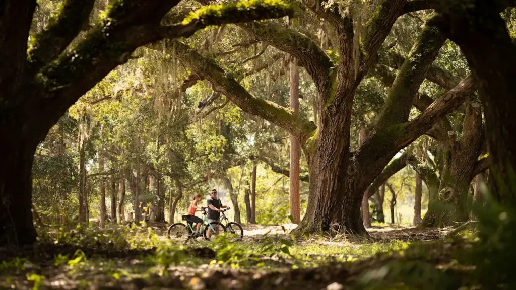 This Florida mega-development is turning suburban backyards into a nature paradise