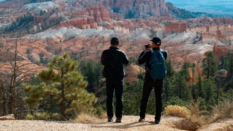 Adventure Awaits: Your Essential First Aid Kit Packing Guide