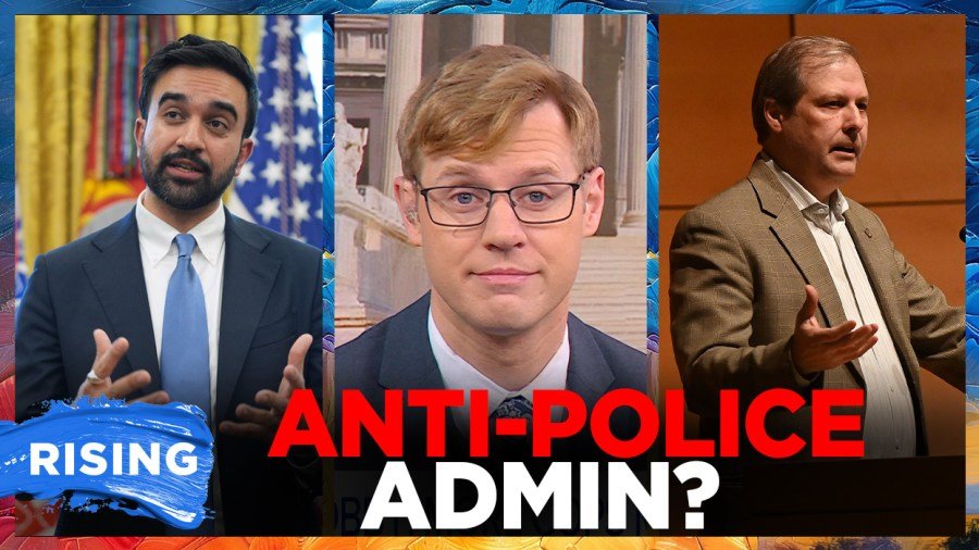 Zohran Mamdani's new safety adviser is an anti-police radical 