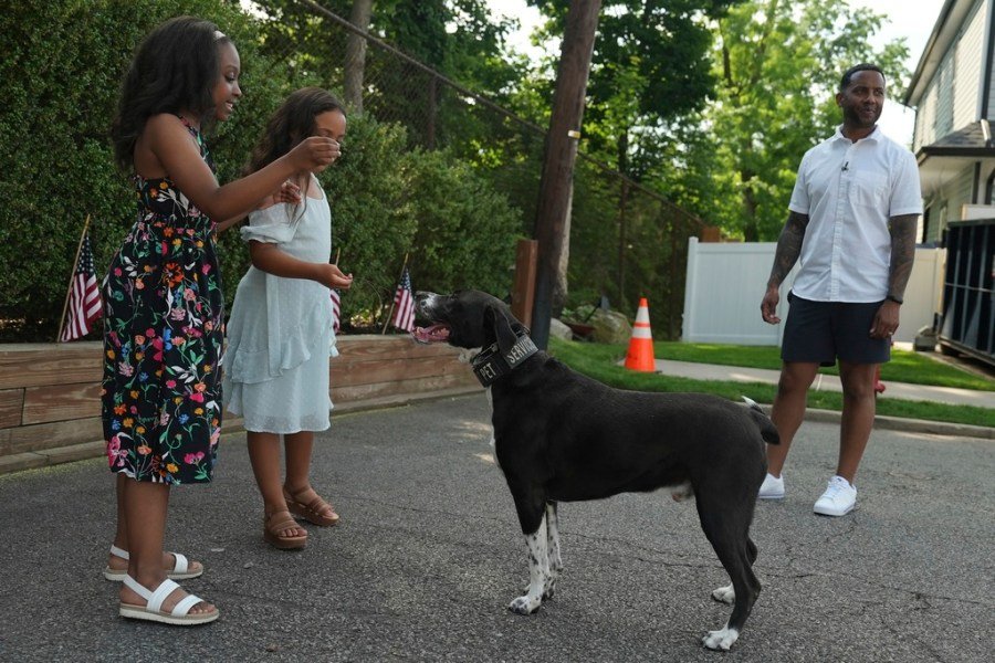 More veterans deserve lifesaving service dogs like Apollo