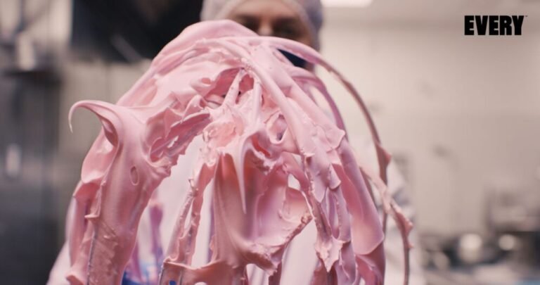 The EVERY Co raises $55m to scale egg proteins via fermentation, crosses line ‘from promise to proof’