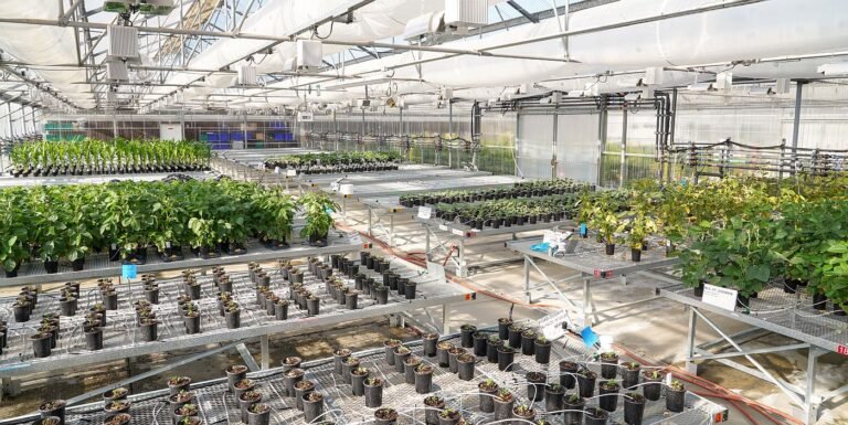 Inside Ginkgo and Bayer’s quest to rewrite the fertilizer rulebook: The race to create next-gen nitrogen-fixing biologicals