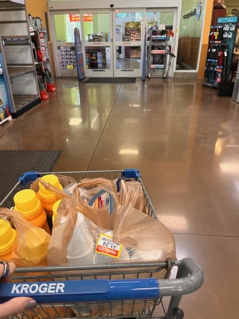 Crystal’s Grocery Purchases From the Past Two Weeks