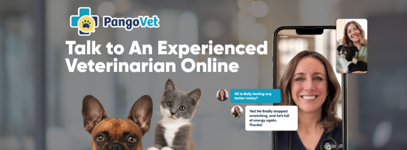 Hiring Veterinarians for our Telehealth Brand PangoVet (Remote Work)