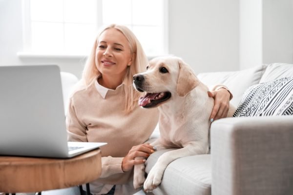 The 7 Best Online Vet Services for UK Pet Parents in 2025 – Reviews & Top Picks