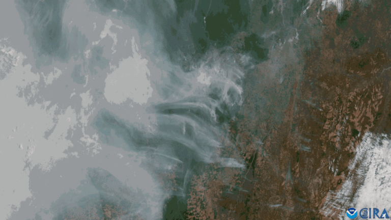 Fire, Not Deforestation, Is Now the Amazon’s Biggest Carbon Emitter