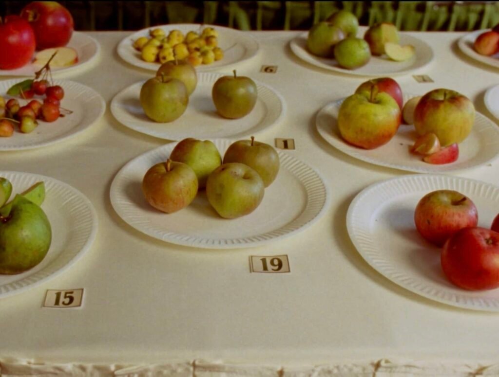 ‘Some Interesting Apples’ Delves into the World of Feral Fruit