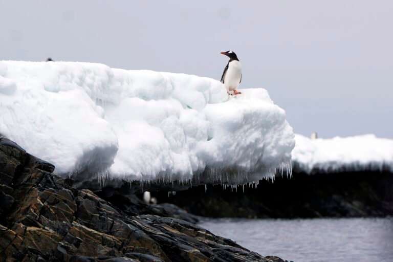 UN: Nations well off-track of Paris climate agreement goals